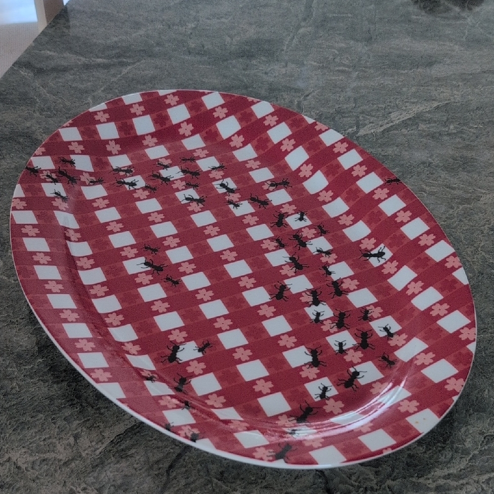 Pier 1 Red Checkered Ant Pattern Platter - Picture 2 of 4